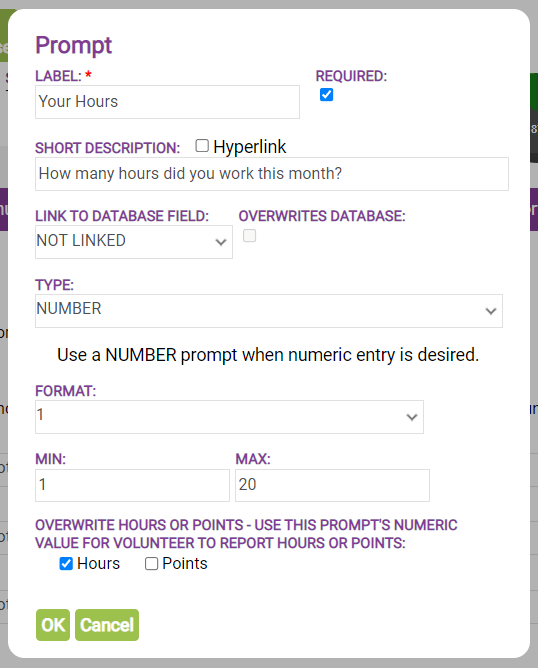 custom prompt for self-reporting volunteer hours on ivolunteer.com