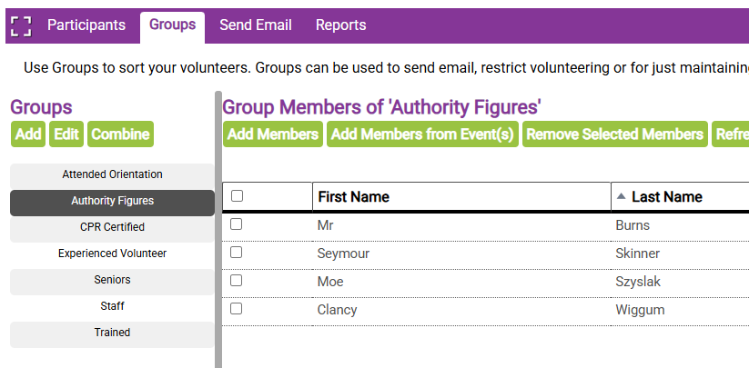 screenshot of volunteer database groups in ivolunteer administrative interface
